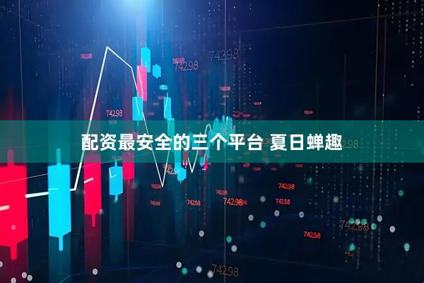 配资最安全的三个平台 夏日蝉趣